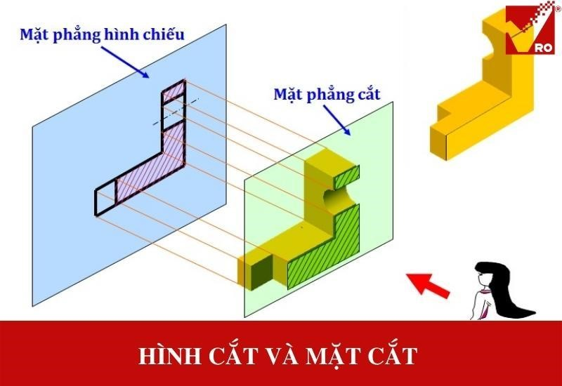 Hình Cắt Là Hình Biểu Diễn Phần Vật Thể Ở Đâu?