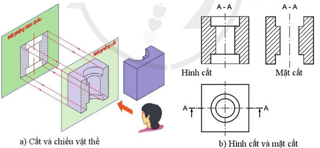 Ứng Dụng Của Hình Cắt Trong Thực Tế