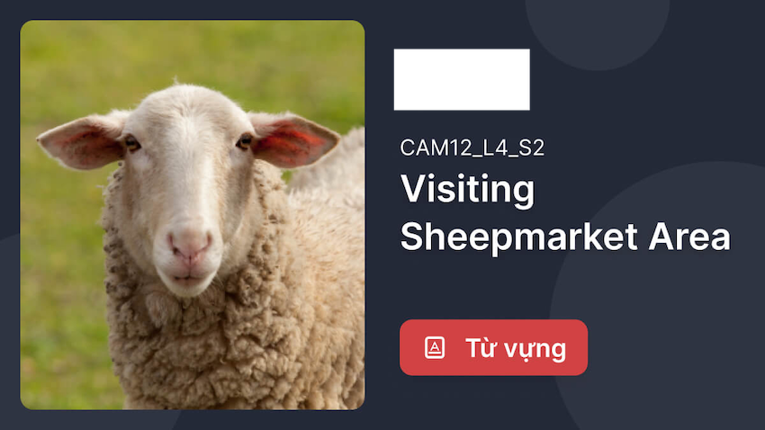 Bật mí Các bước trả lời câu hỏi IELTS Listening về "Visiting the Sheepmarket Area"